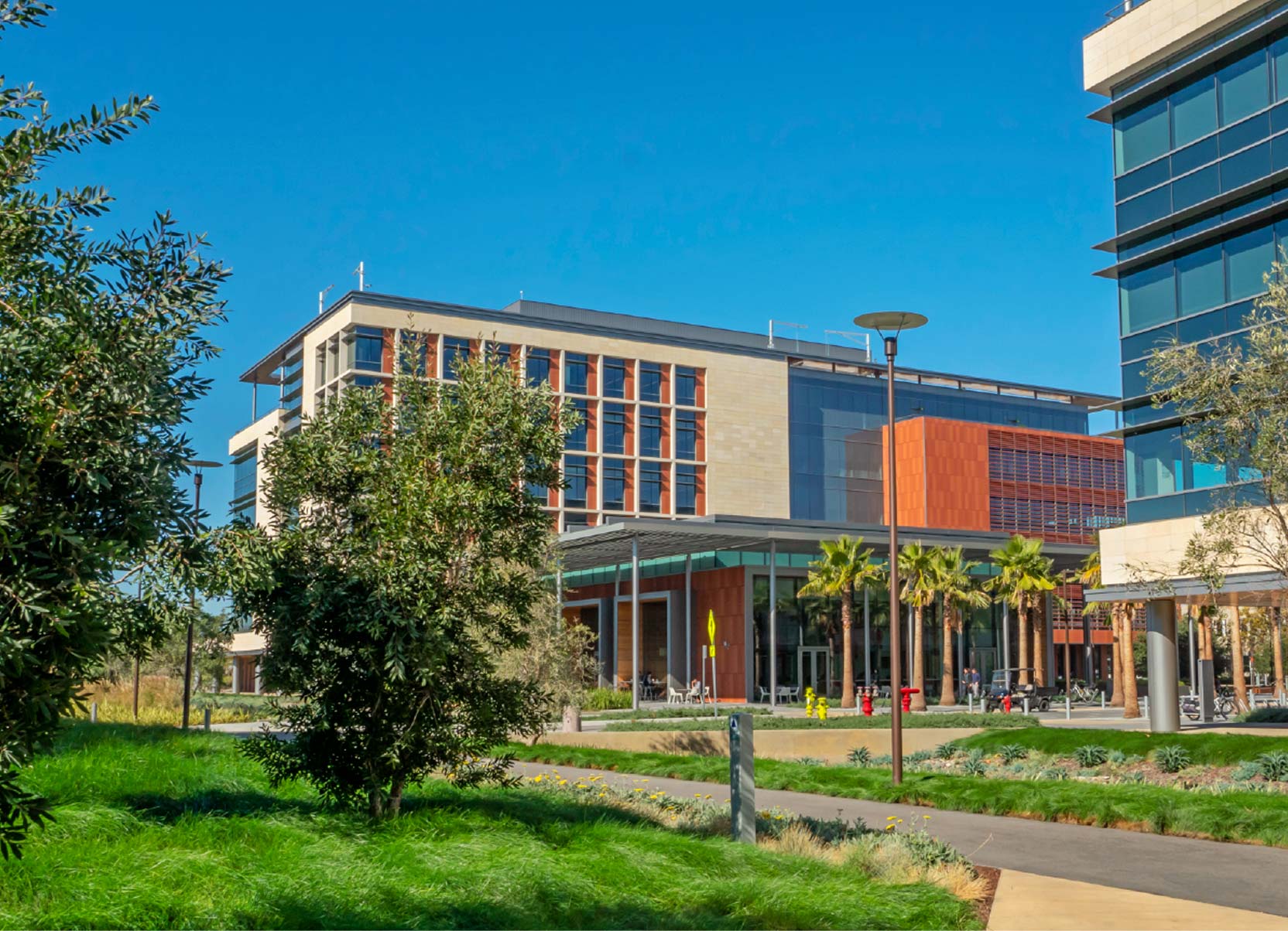 Modern buildings with glass and stone facades stand on the Stanford University Redwood City campus under a clear blue sky, surrounded by green lawns, trees, and walkways.