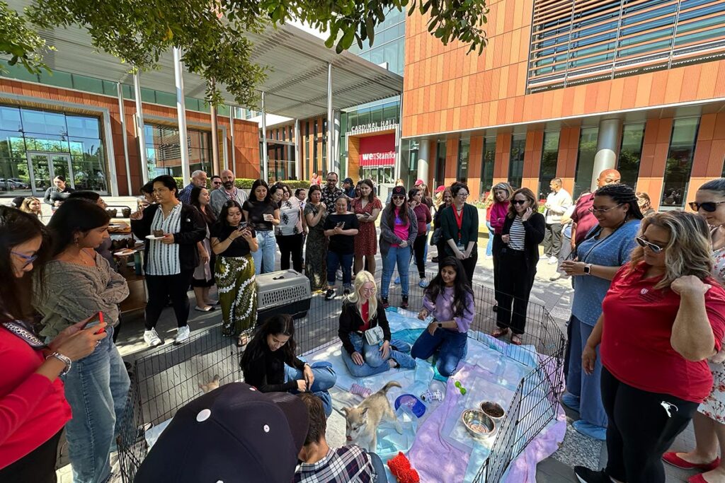 A large group of staff members gathers outdoors for a "Yappy Hour" event, socializing and meeting several small dogs.