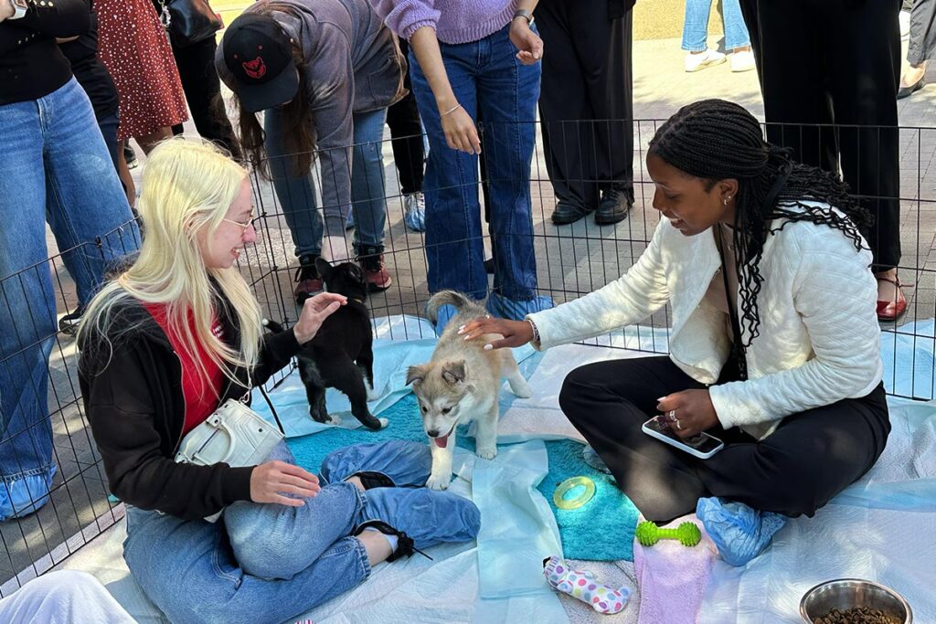 A group of people sit on the ground outdoors and interact with a small dog during a "Yappy Hour" event.